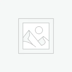 Budgeted Laptops